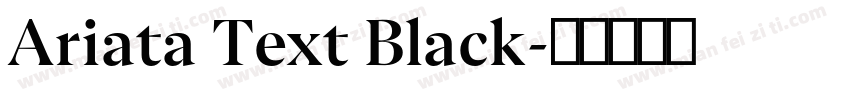 Ariata Text Black字体转换